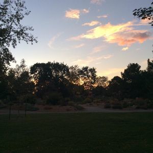 Meet your Posher, Isela